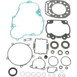 Complete gasket and oil seal kit