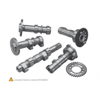 Arbre à cames stage 1 Hotcams Yamaha YZF 450 2014 - 2017