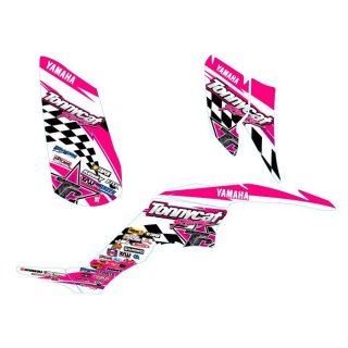 Kit deco TONNYCAT RACING NASCAR : 350 RAPTOR rose/blanc