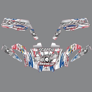 Kit deco RACE 2 PATRIOT : POLARIS RZR AU CHOIX