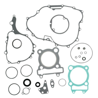 Pochette de joints 'MOTEUR COMPLET' MOOSE RACING pour 250 RAPTOR