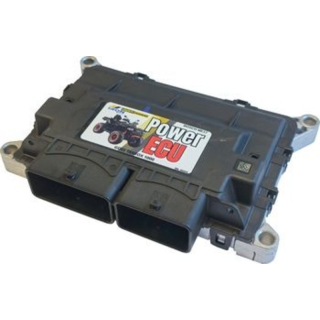 ECU Box Full Power Mapping IRON BALTIC - GOES Terrox 1000