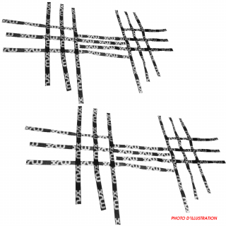 SANGLES DE NERF BAR XRW Q1 XRW WHITE - YAMAHA YFZ 450