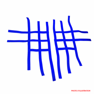 NERF BAR STRAPS XRW R1 blue - SUZUKI LTZ 400