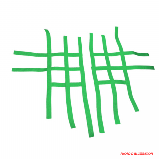 SANGLES DE NERF BAR XRW R1 verte - ARCTIC CAT DVX 400