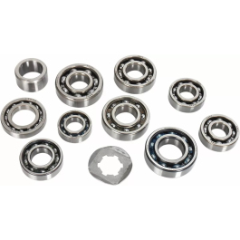 KIT ROULEMENTS DE BOITE DE VITESSE : 350 RAPTOR