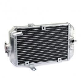 RADIATEUR POUR YAMAHA 660 RAPTOR 01-05